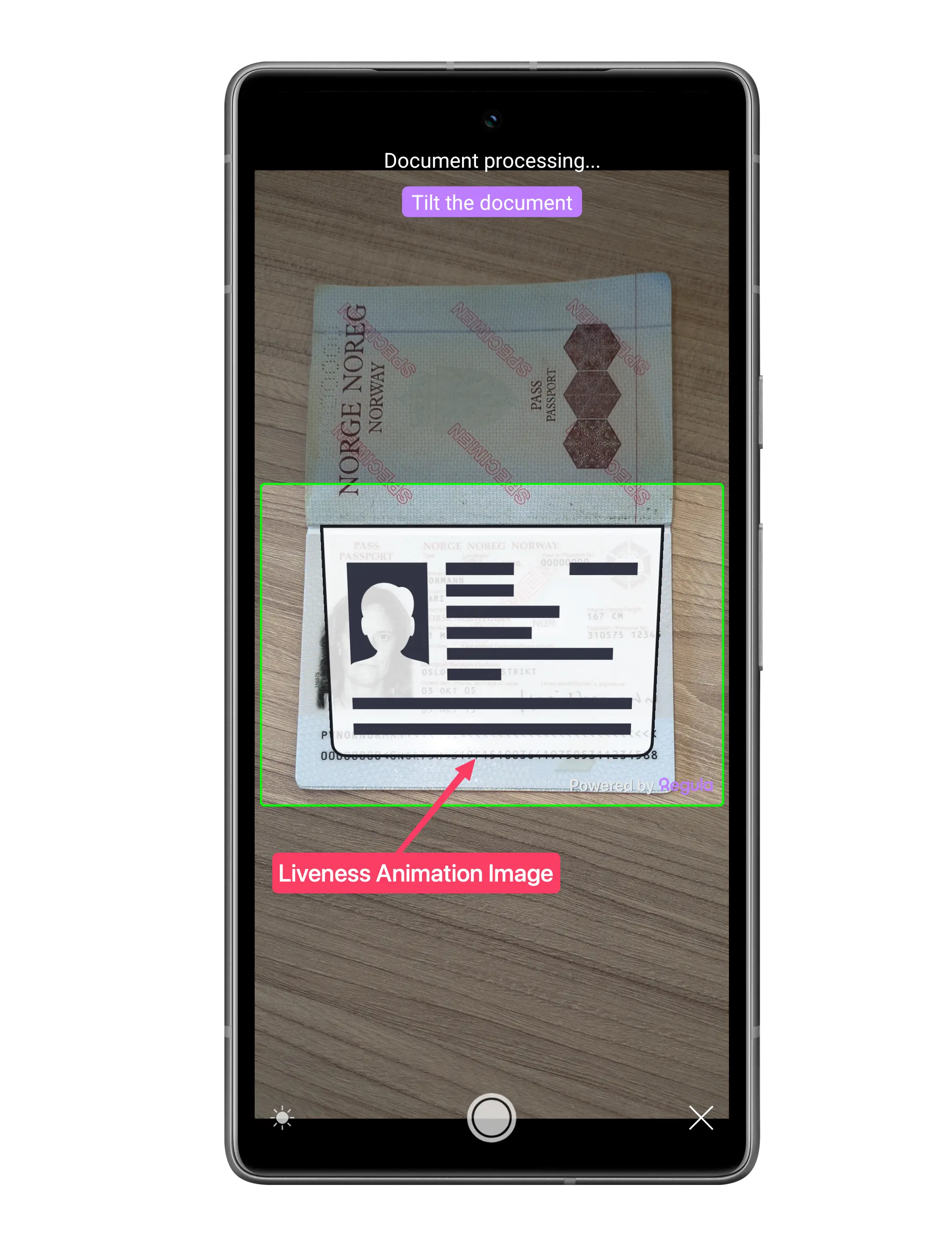 Camera frame screen in the deprecated UI design with the liveness animation image highlighted